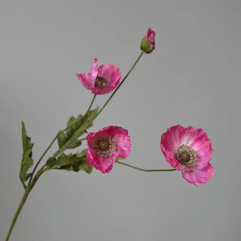 Miniature 23