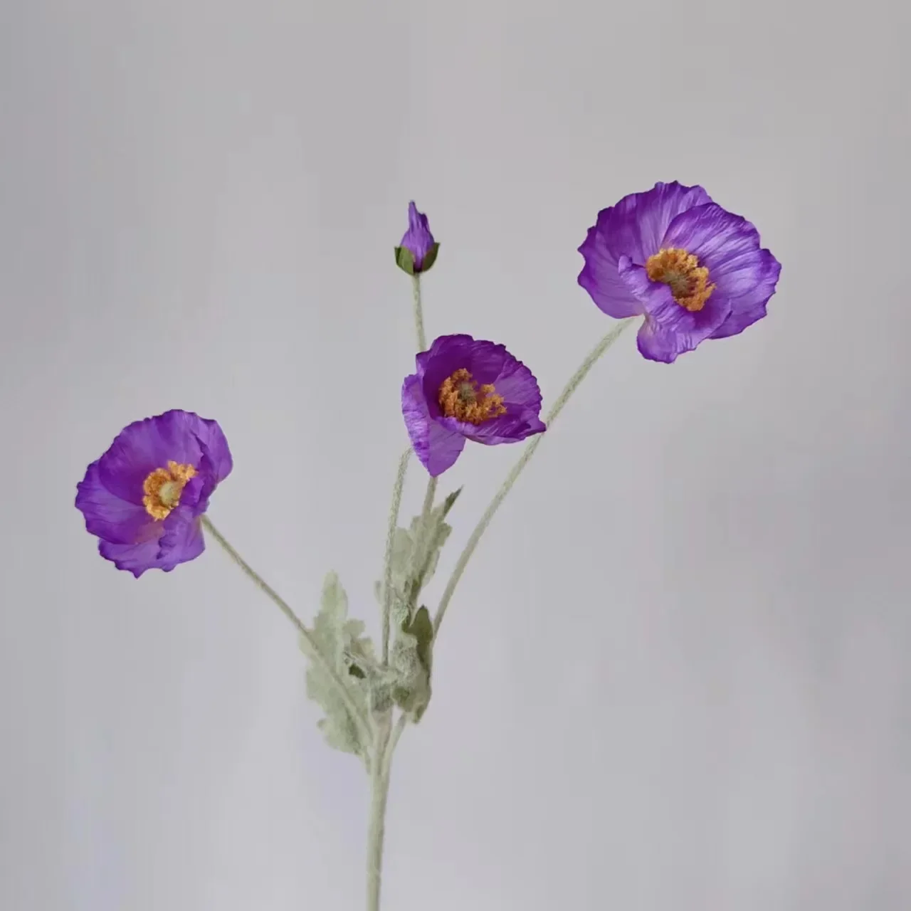 Miniature 28