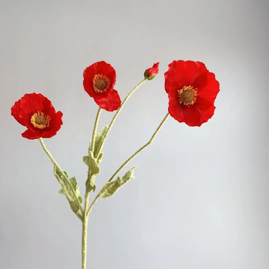 Miniature 31