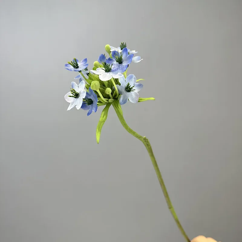 Miniature 8