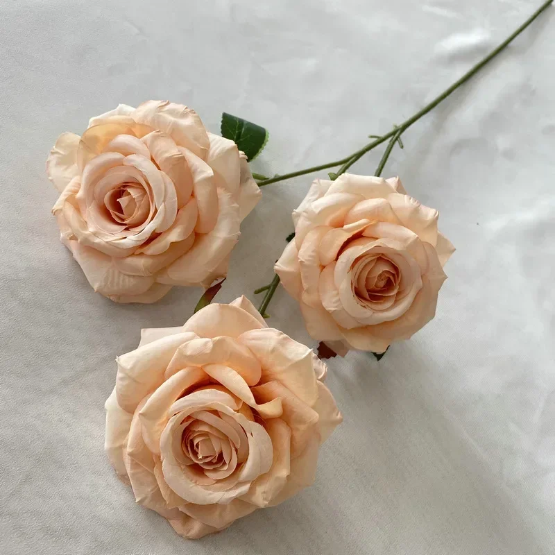 Miniature 6