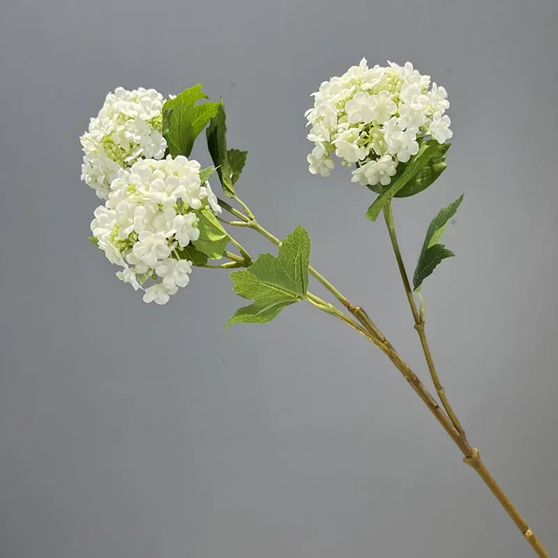 Miniature 8