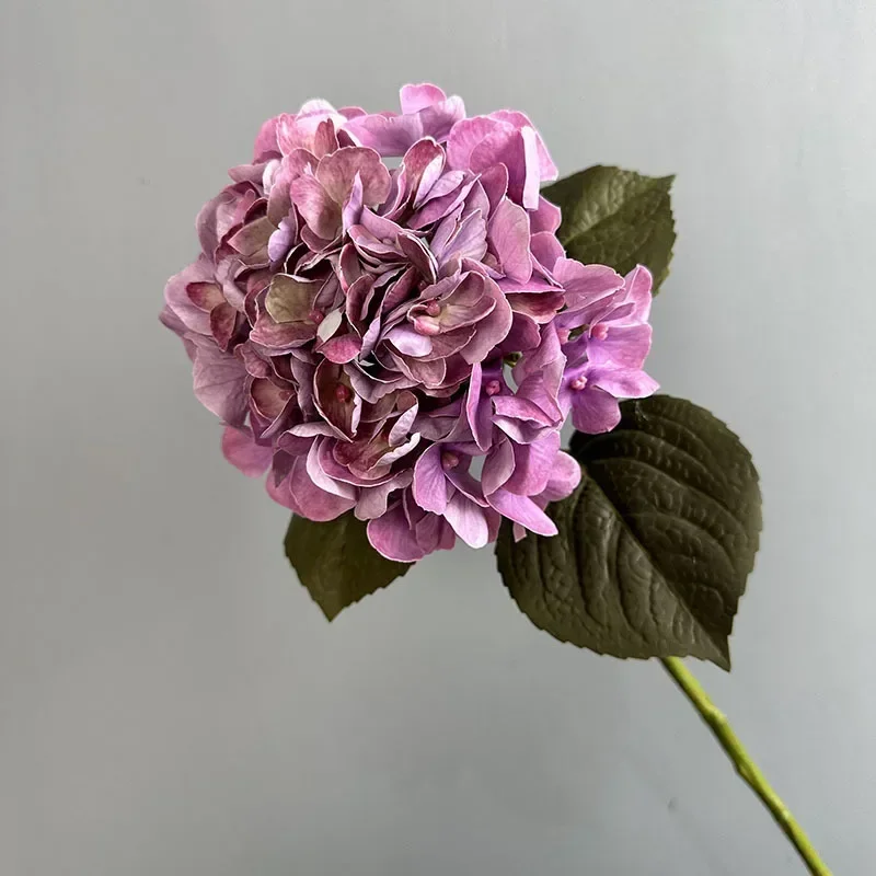 Miniature 10