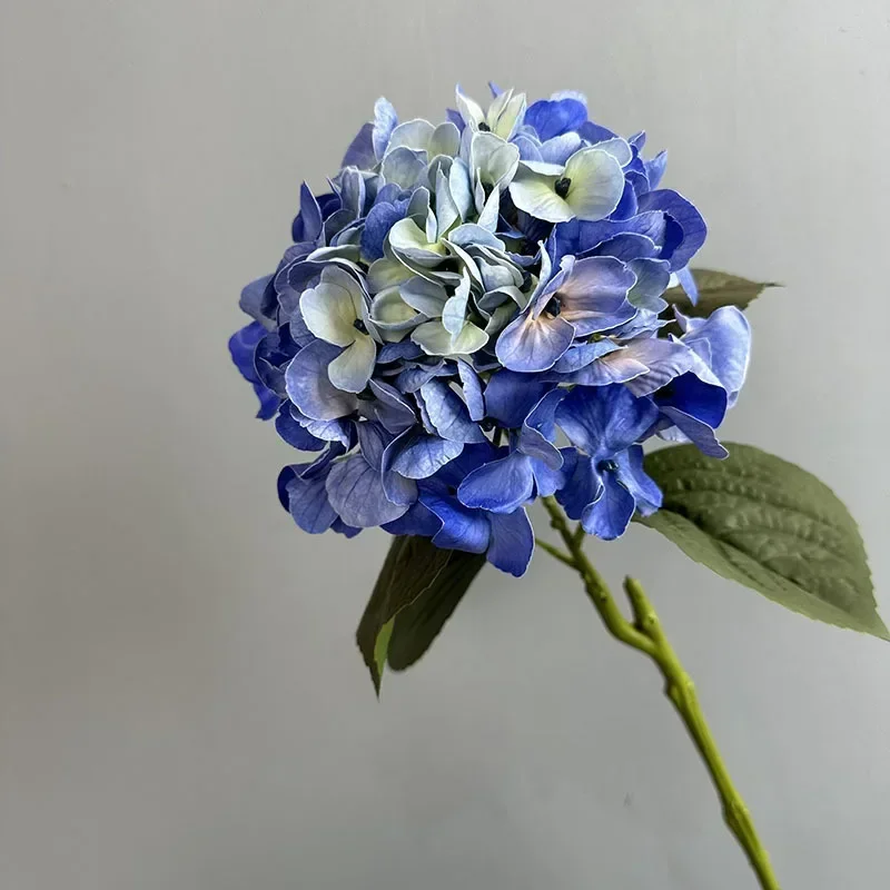 Miniature 12