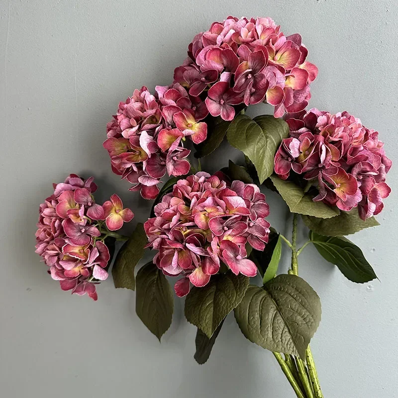 Miniature 5