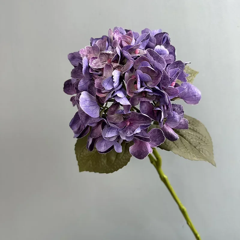 Miniature 7