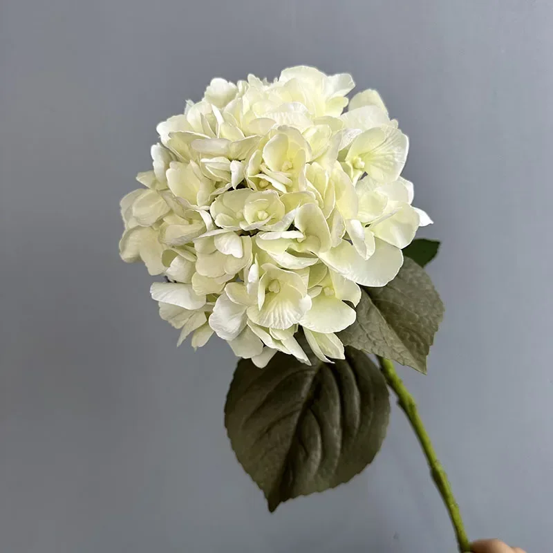 Miniature 8