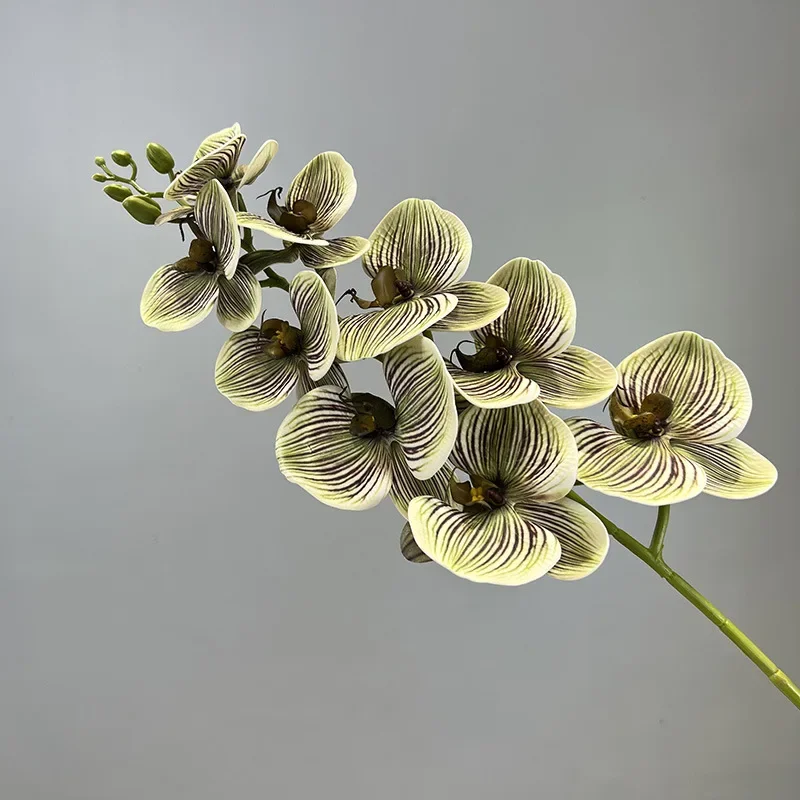 Miniature 9