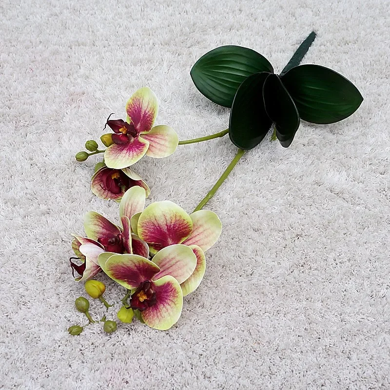 Miniature 11