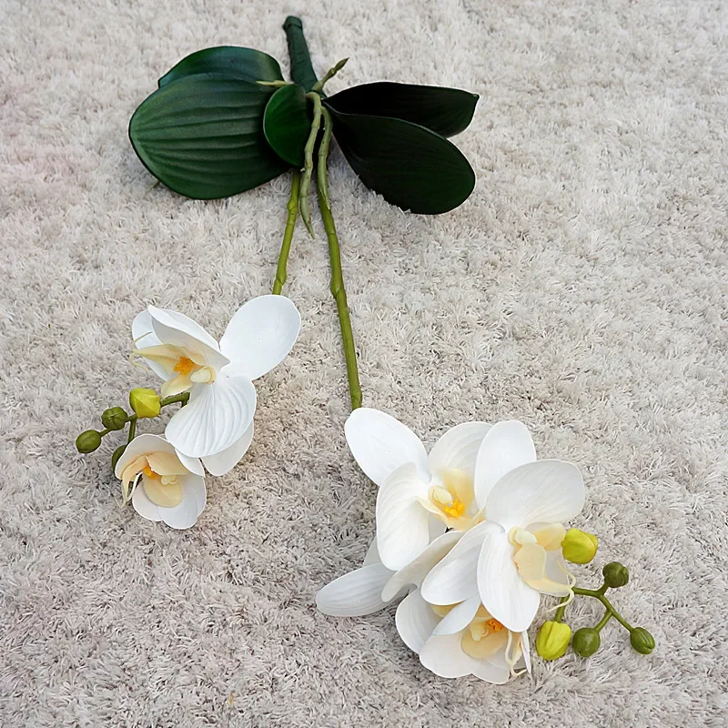 Miniature 13