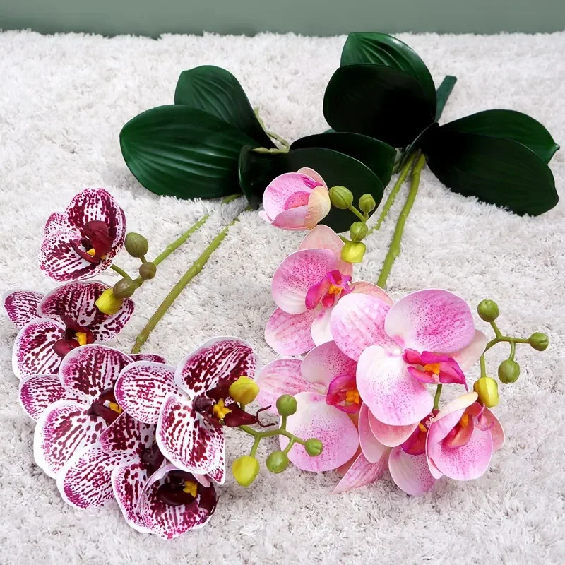 Miniature 4