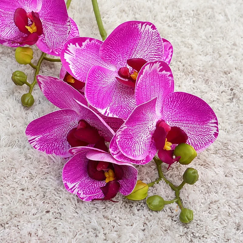 Miniature 5