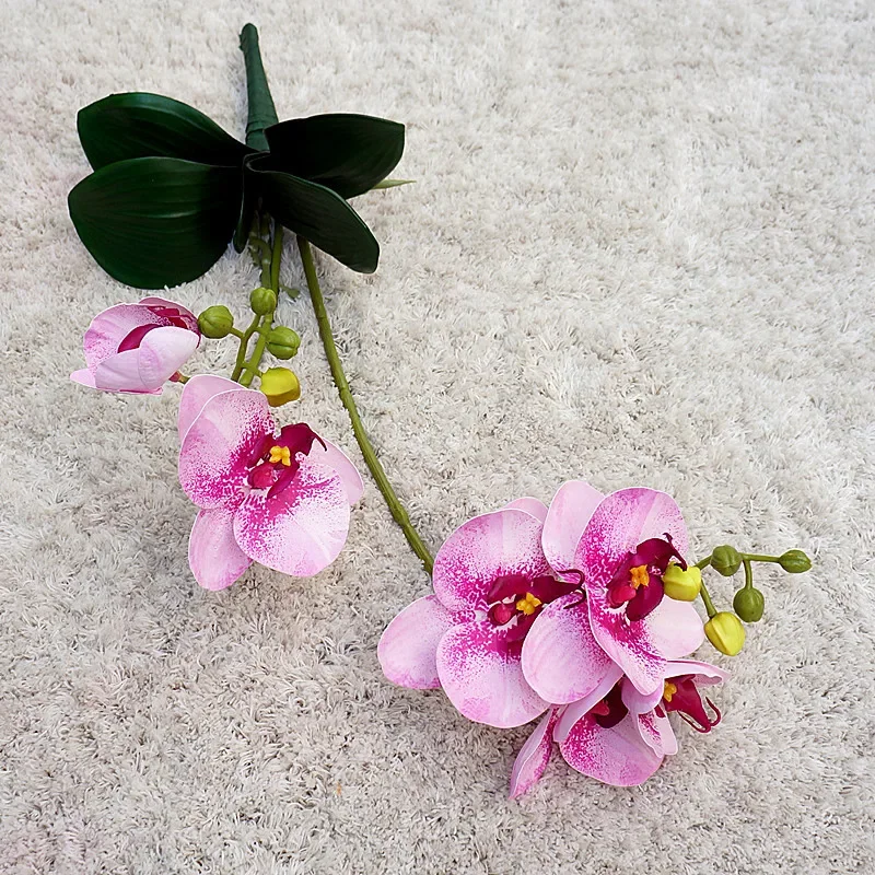Miniature 6