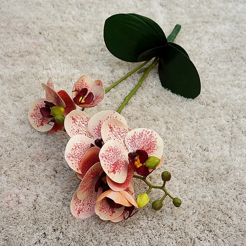 Miniature 7