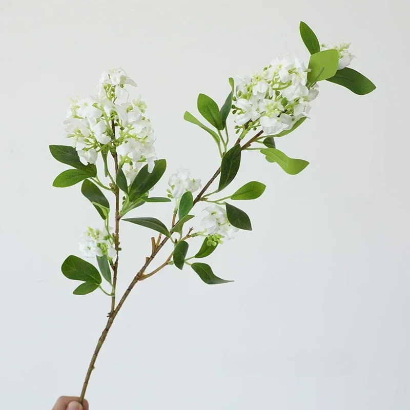 Miniature 7