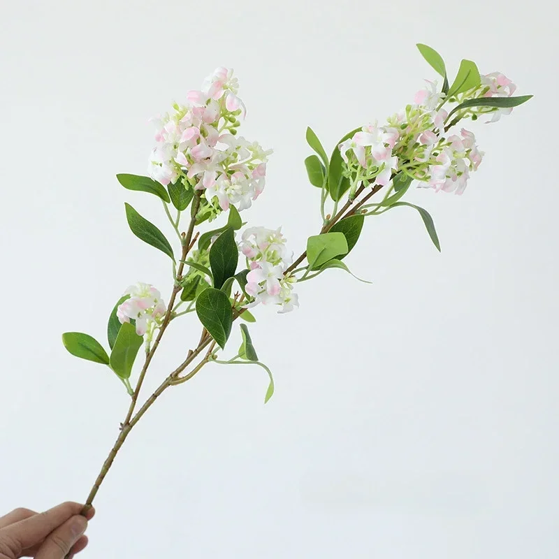 Miniature 9
