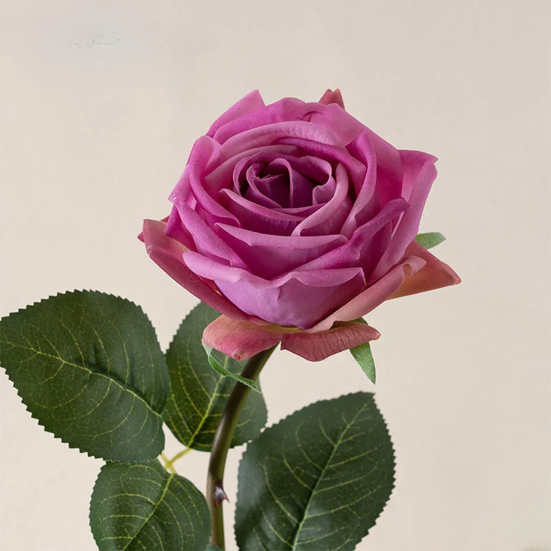 Miniature 11
