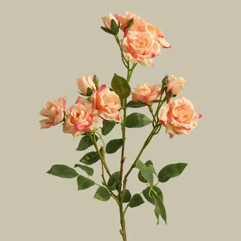 Miniature 6