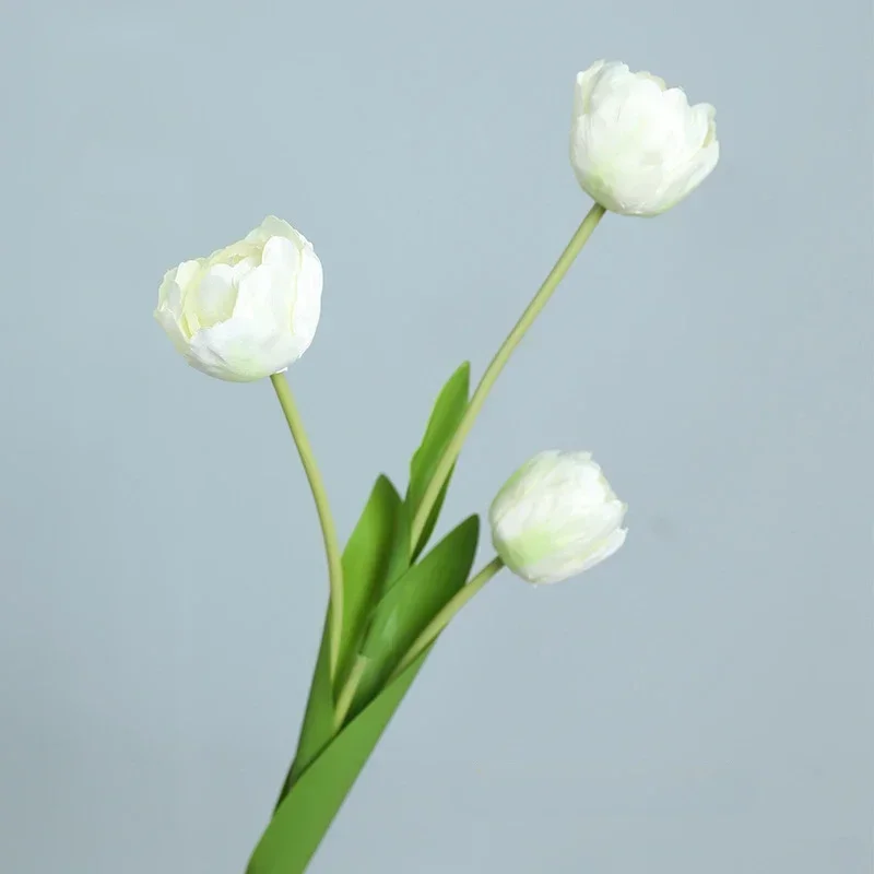 Miniature 11