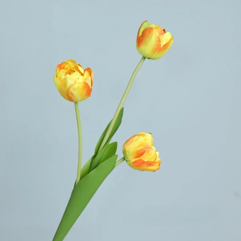 Miniature 12