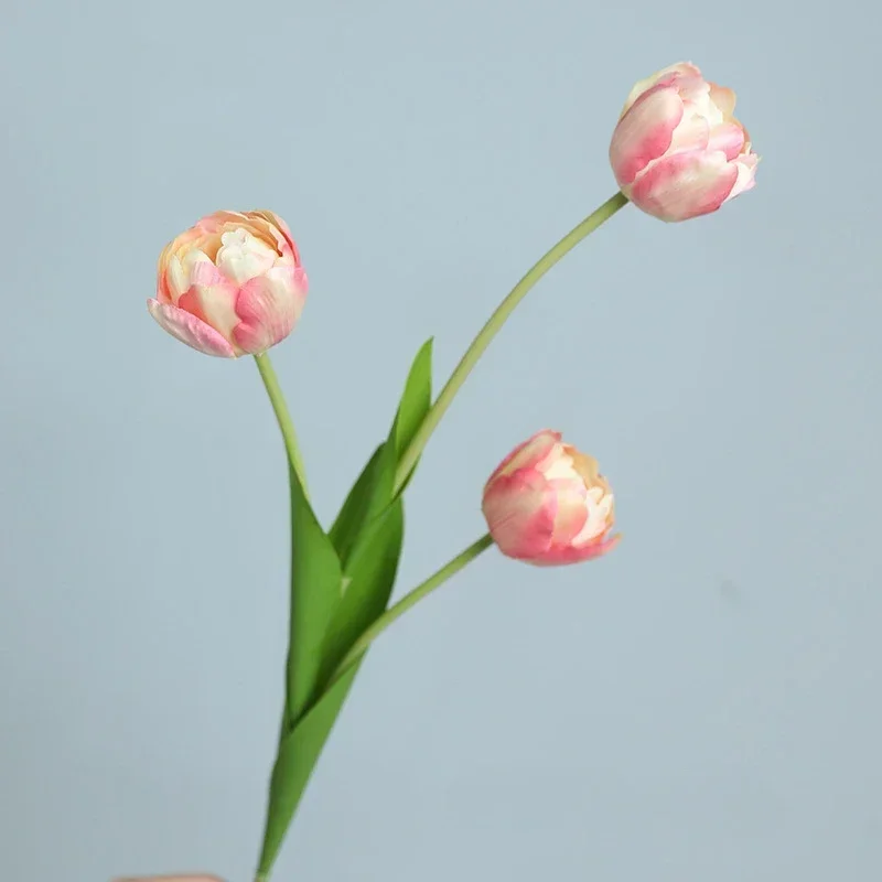 Miniature 13