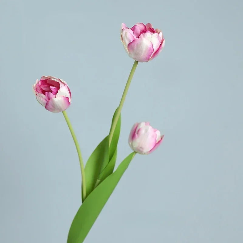 Miniature 7