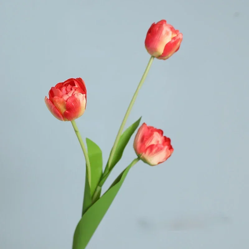 Miniature 8