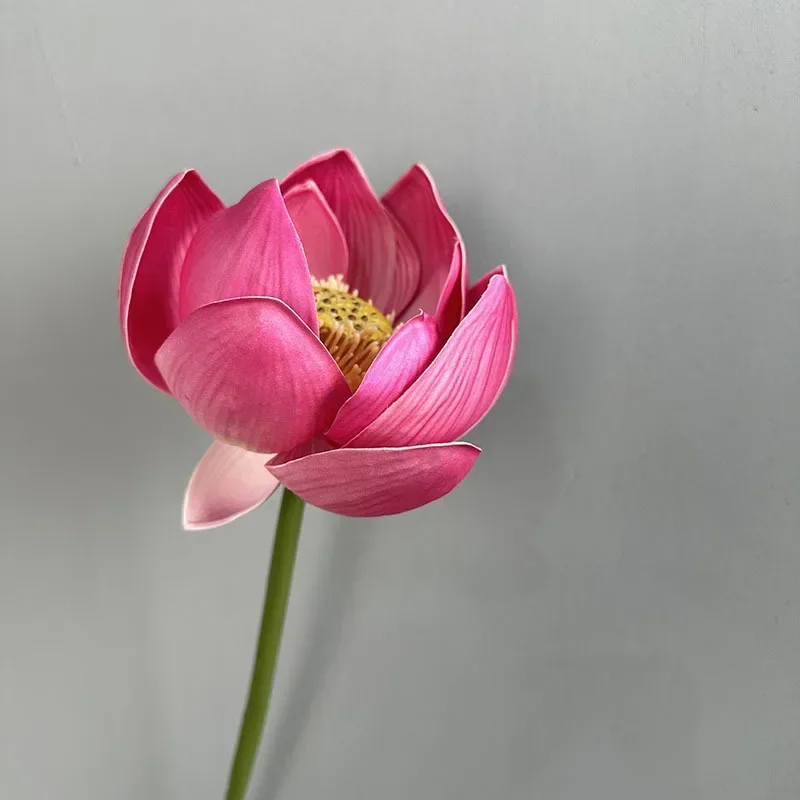 Miniature 23