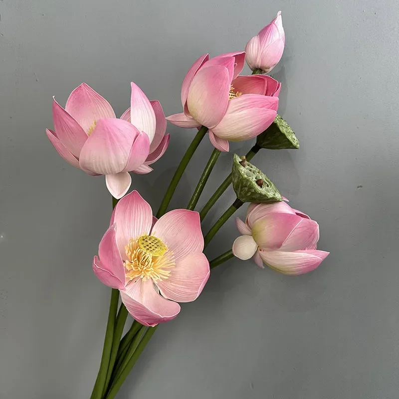 Miniature 4