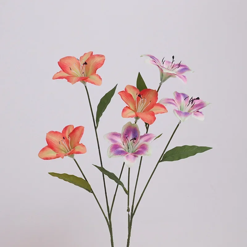 Miniature 2