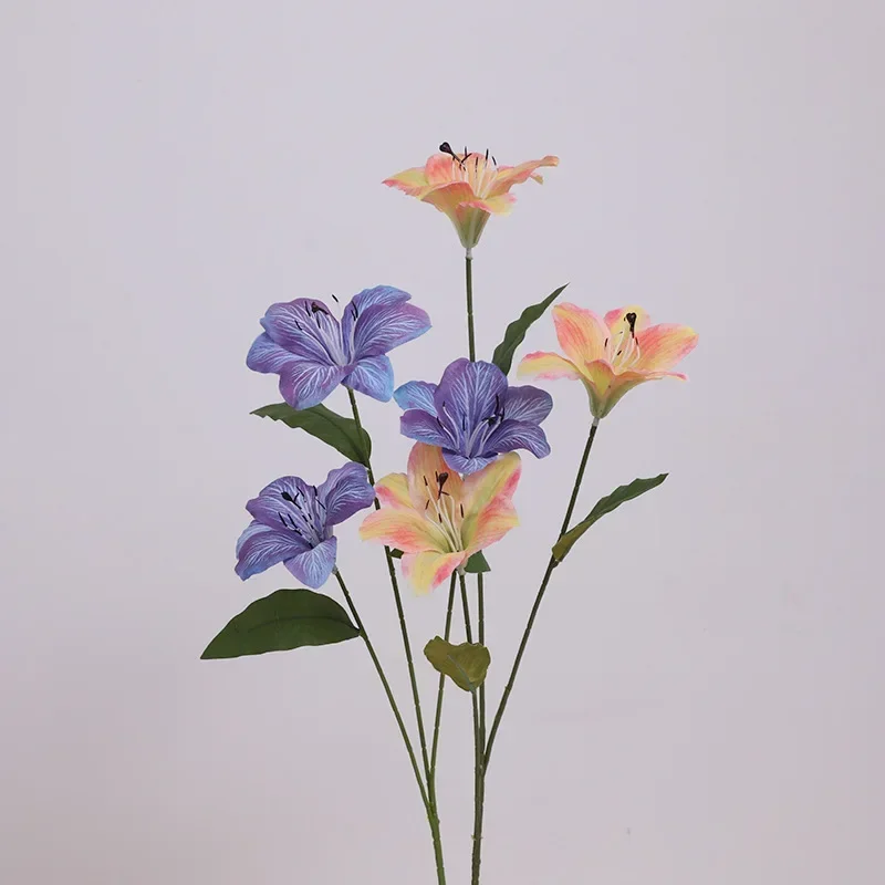 Miniature 6