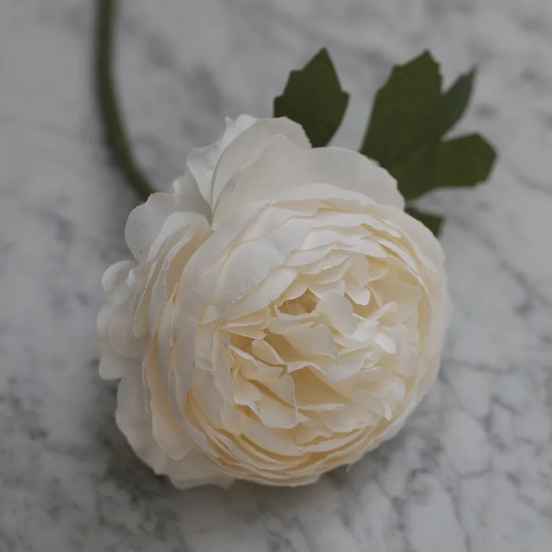 Miniature 14