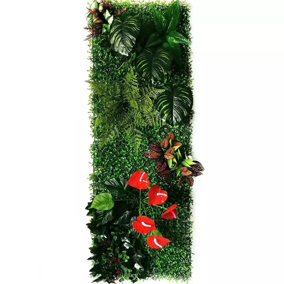 Miniature 5