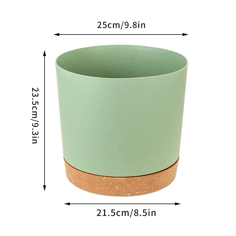 Miniature 12