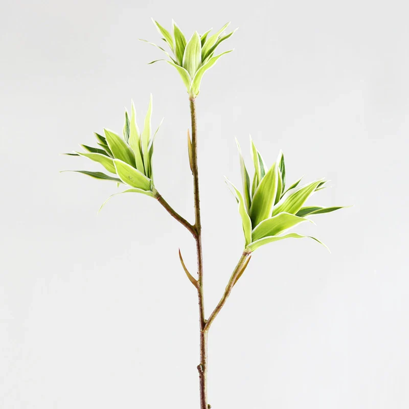 Miniature 7