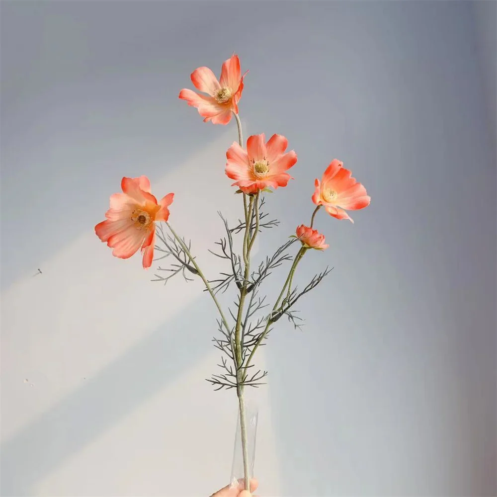 Miniature 12