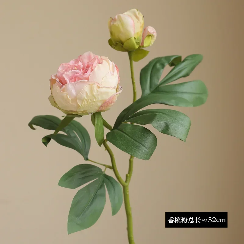 Miniature 7
