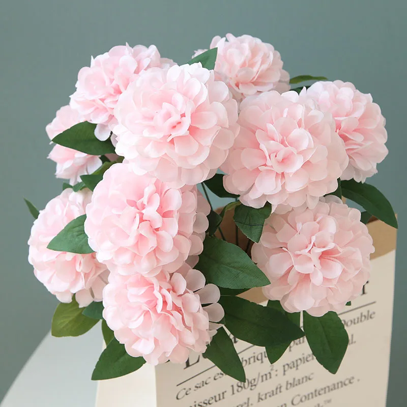 Miniature 5