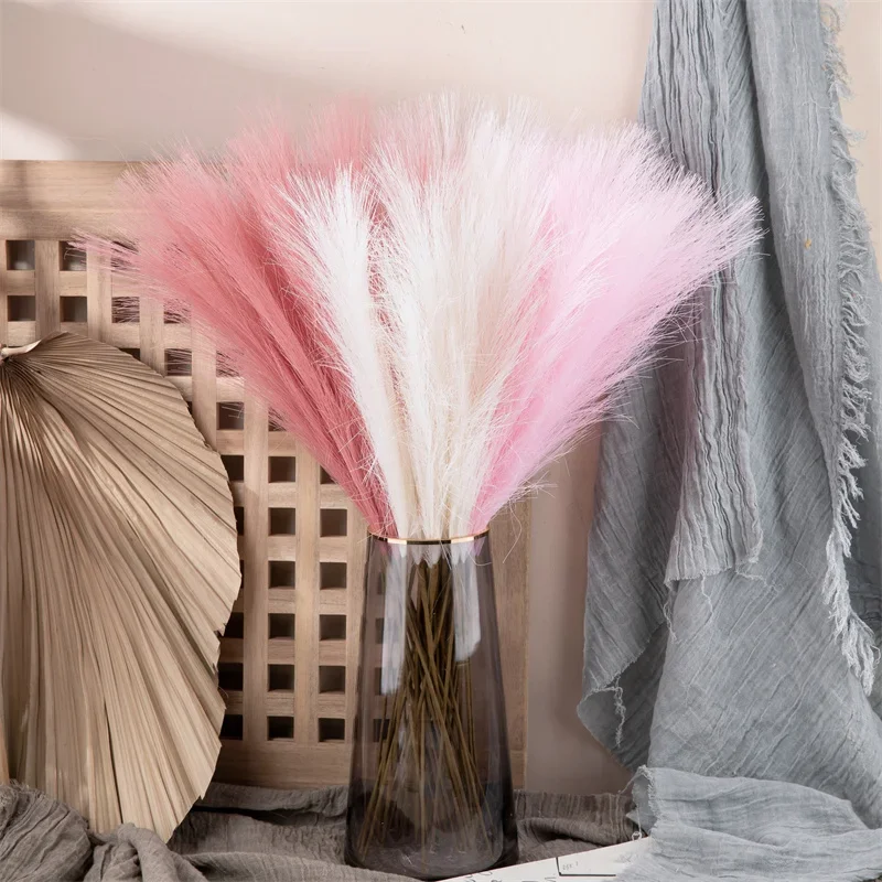 Miniature 5