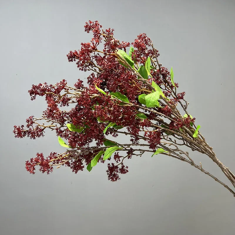 Miniature 5