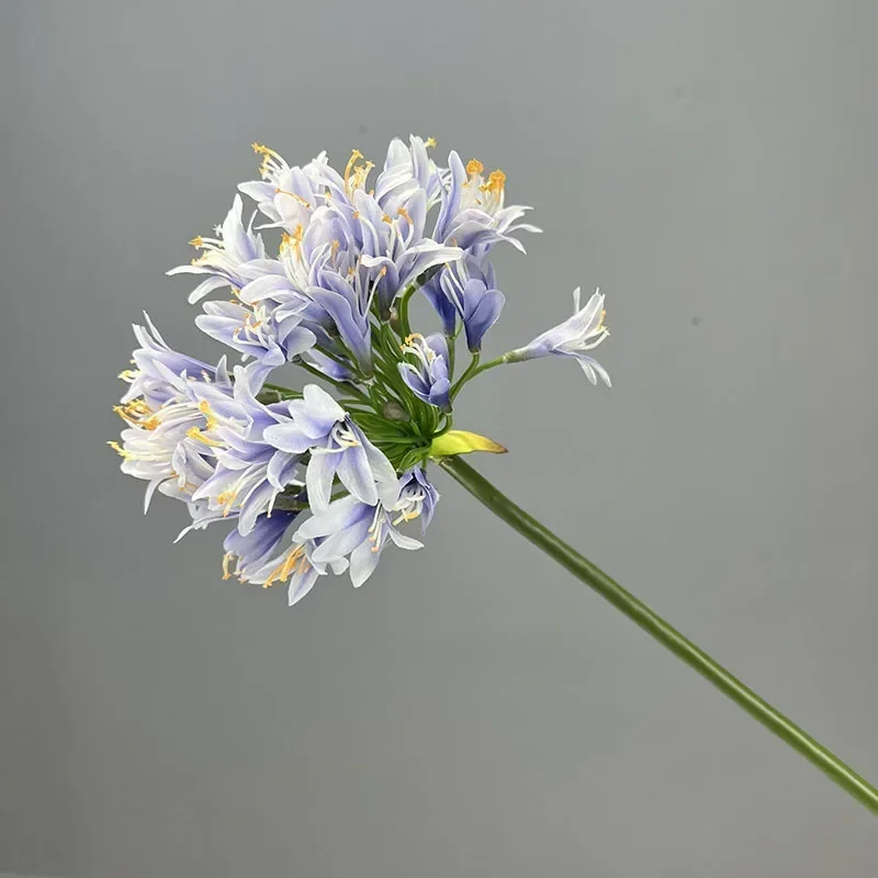 Miniature 8