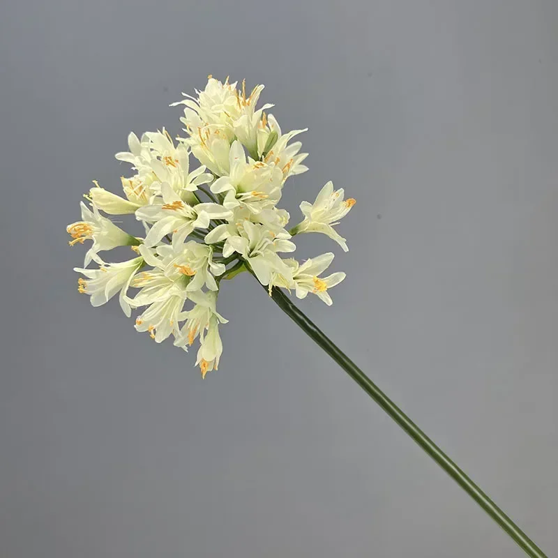Miniature 9