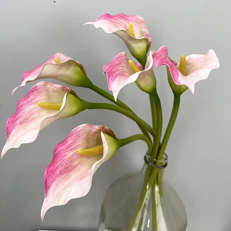 Miniature 4