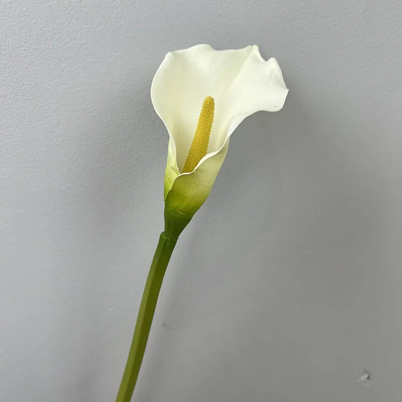 Miniature 7