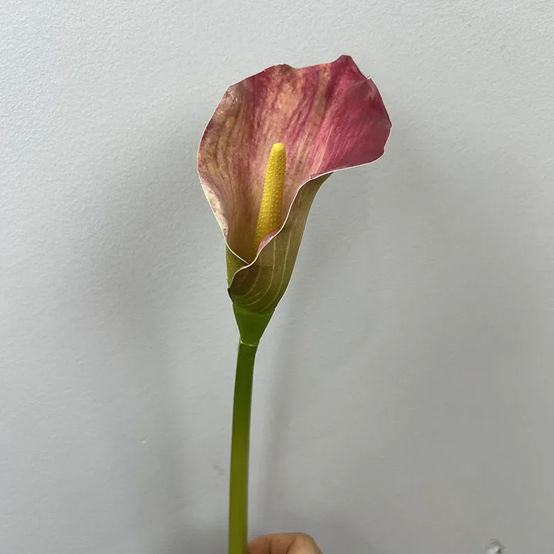 Miniature 8
