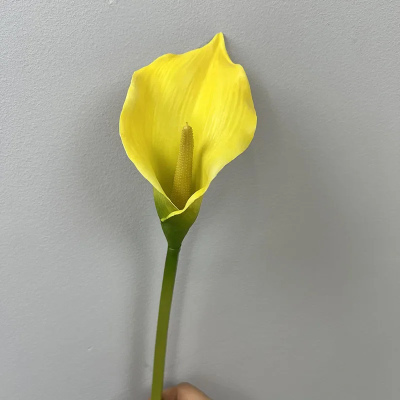 Miniature 9