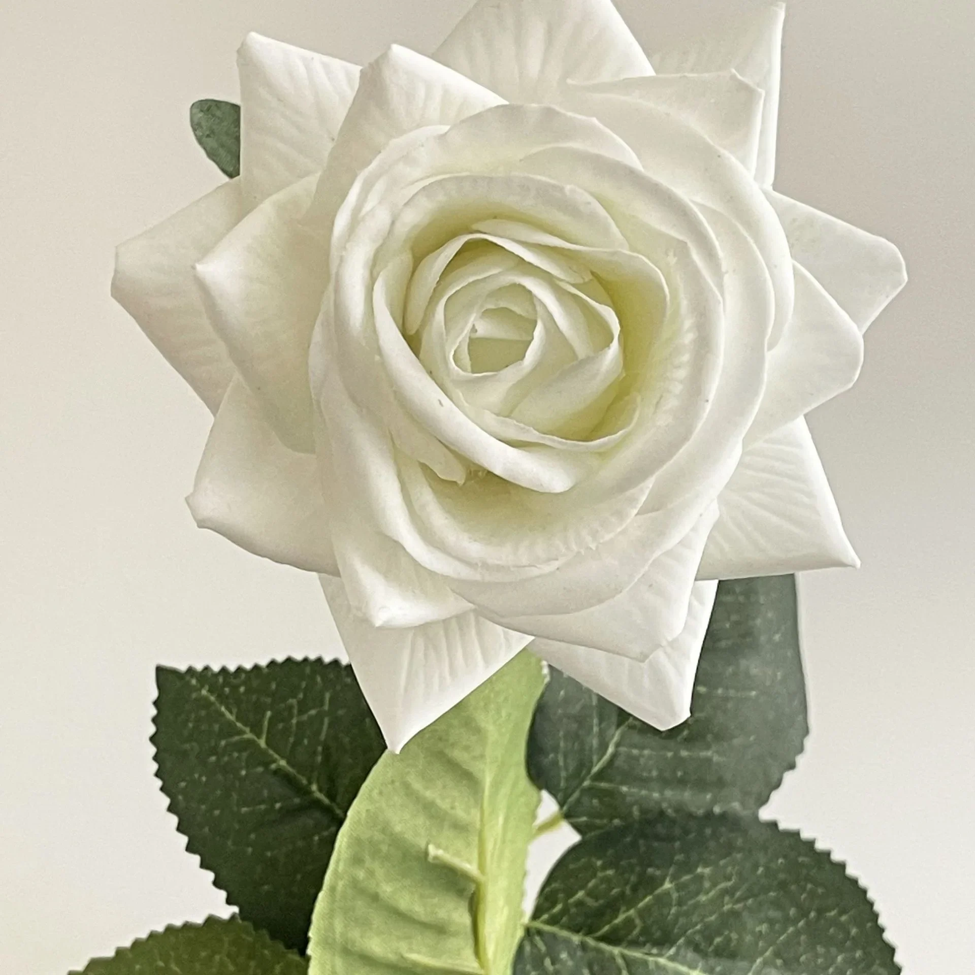Miniature 9