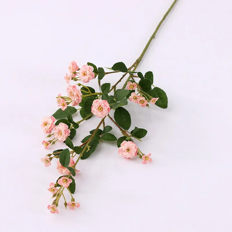 Miniature 11