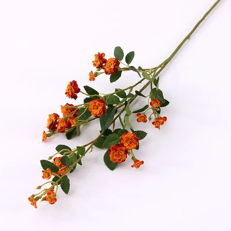 Miniature 12