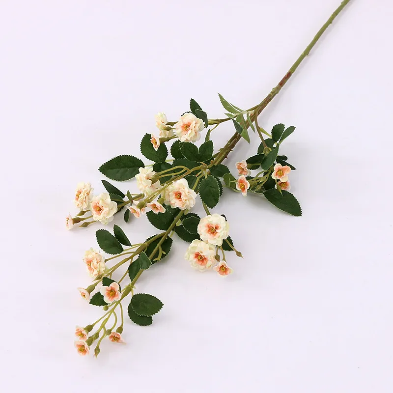 Miniature 8